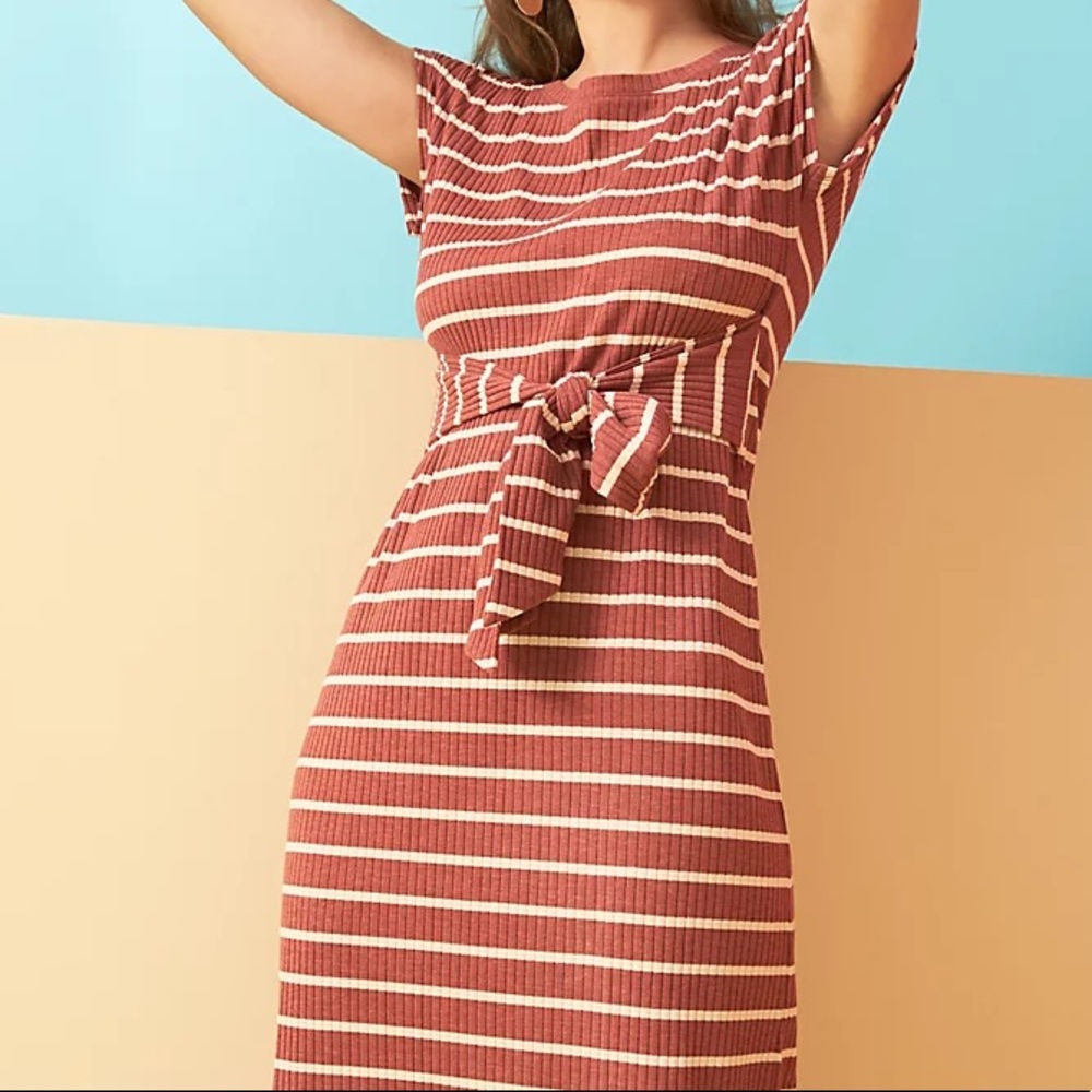 Loft Petite stripe ribbed belted dress NWT